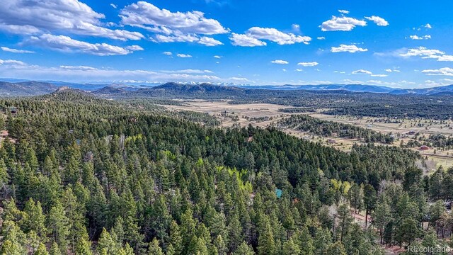 318 Southgate Rd, Florissant, CO 80816 - photo 36