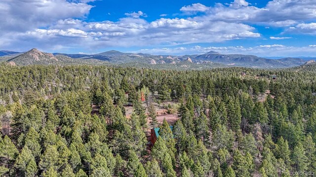 318 Southgate Rd, Florissant, CO 80816 - photo 37
