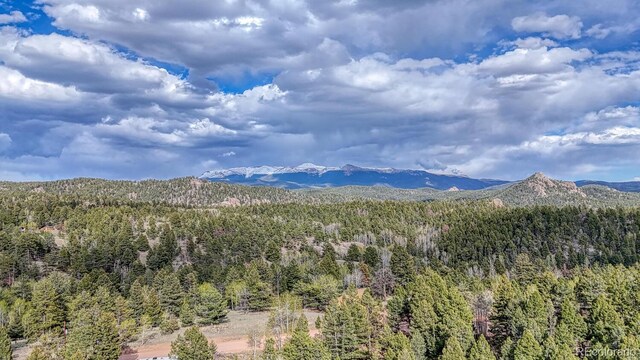 318 Southgate Rd, Florissant, CO 80816 - photo 39