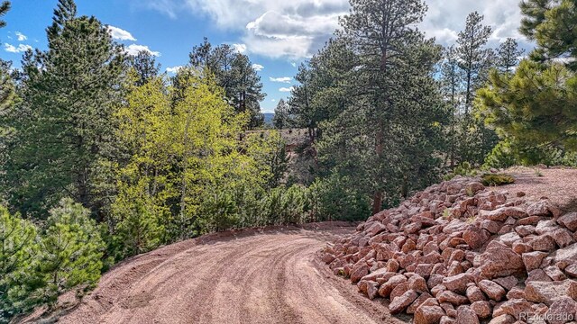 318 Southgate Rd, Florissant, CO 80816 - photo 40