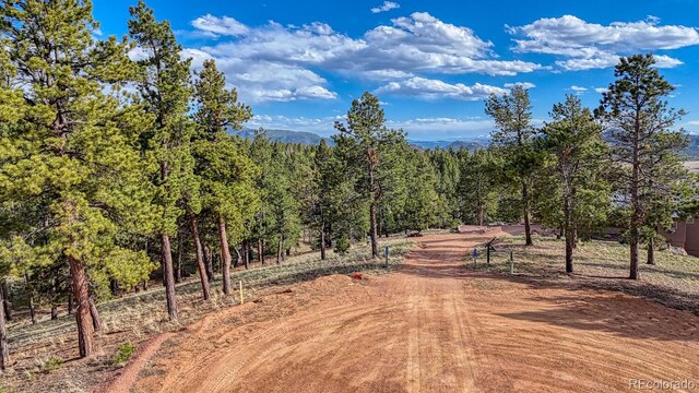 318 Southgate Rd, Florissant, CO 80816 - photo 42
