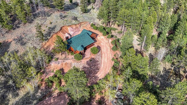 318 Southgate Rd, Florissant, CO 80816 - photo 45