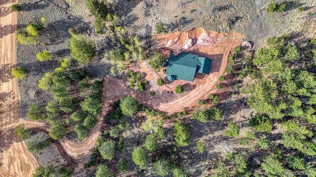 318 Southgate Rd, Florissant, CO 80816 - photo 46
