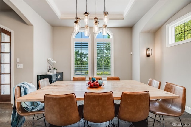 2362 Spruce Way, Denver, CO 80238 - dining space featuring dark wood-style flooring, a tray ceiling, and crown molding