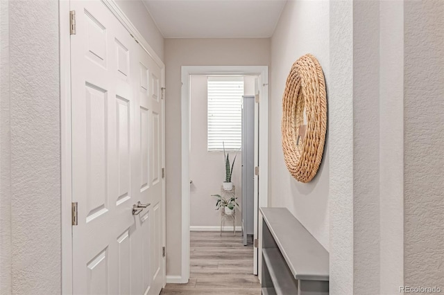 4790 Kittredge St, Denver, CO 80239 - hall with light wood-style floors and a textured wall