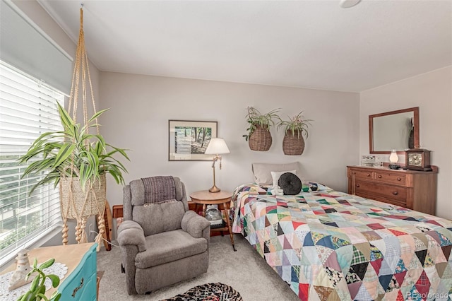 4790 Kittredge St, Denver, CO 80239 - view of carpeted bedroom