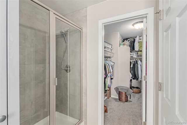 4790 Kittredge St, Denver, CO 80239 - bathroom featuring a stall shower and a walk in closet