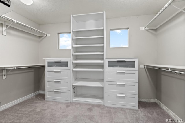 3041 Starling Ct, Castle Rock, CO 80109 - spacious closet with carpet