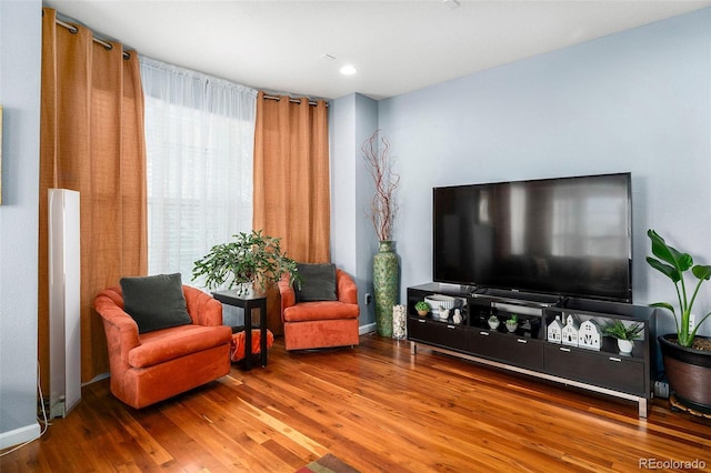 living area featuring wood-type flooring