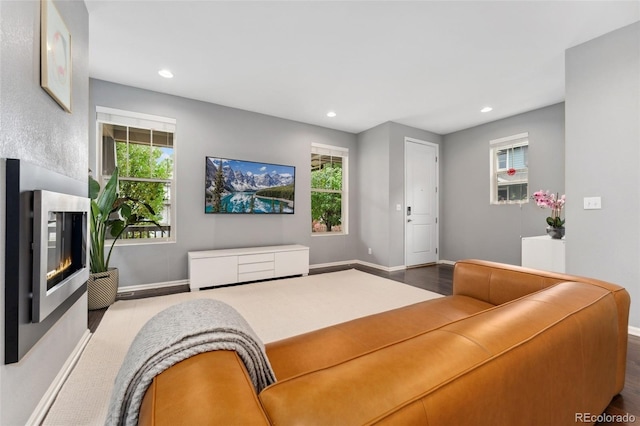 living room with hardwood / wood-style floors and a wealth of natural light