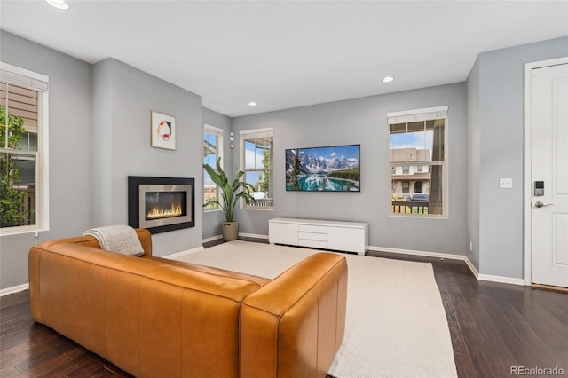 living room featuring dark wood-type flooring