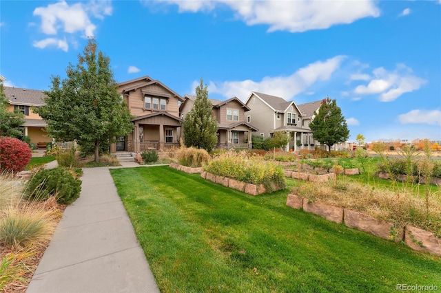 view of front of home featuring a front yard