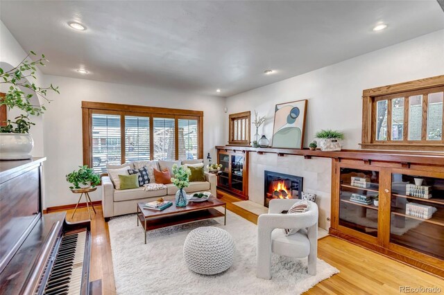 285 S Williams St, Denver, CO 80209 - living room featuring recessed lighting, wood finished floors, and a fireplace
