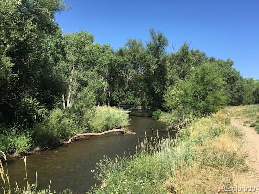 view of nature featuring a water view and a view of trees