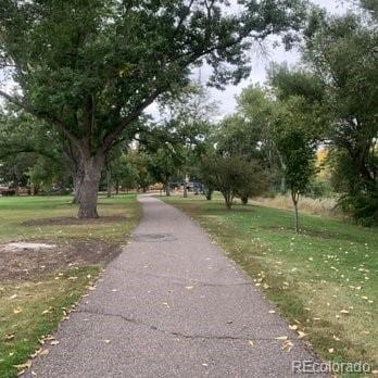 view of community featuring a yard