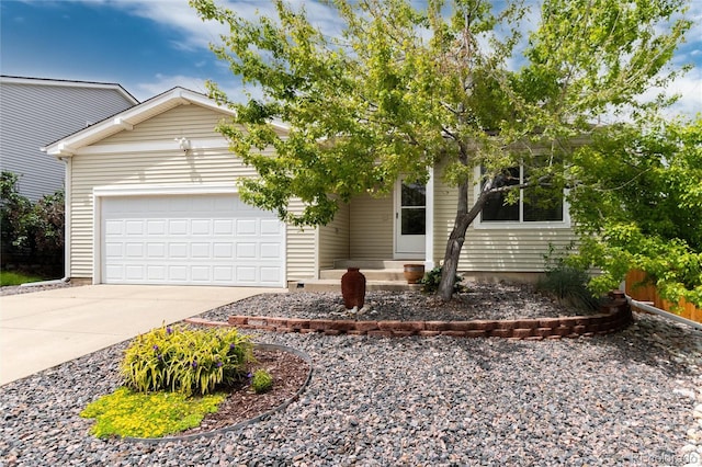 8129 Locust Dr, Littleton, CO 80125 - view of property hidden behind natural elements with an attached garage and concrete driveway