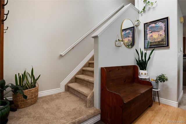 8129 Locust Dr, Littleton, CO 80125 - stairway featuring baseboards and wood finished floors