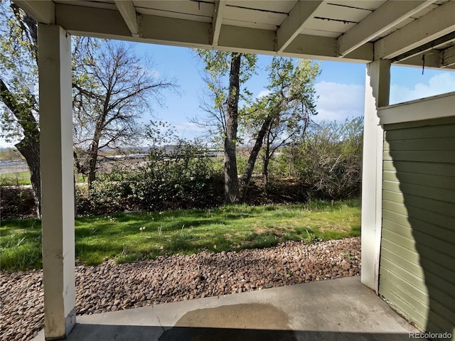 2418 W 82nd Pl Unit D, Westminster, CO 80031 - view of yard