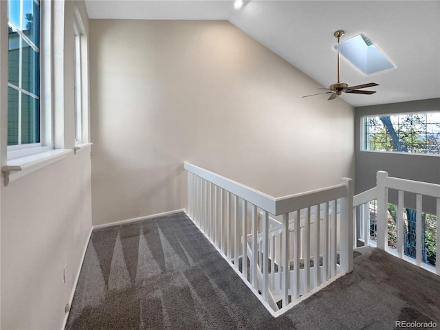 2418 W 82nd Pl Unit D, Westminster, CO 80031 - corridor featuring a skylight, an upstairs landing, high vaulted ceiling, and carpet
