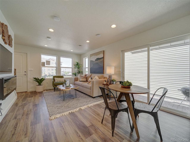 living room with light hardwood / wood-style flooring