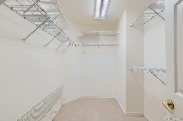 5305 W Lake Pl, Littleton, CO 80123 - walk in closet with light carpet