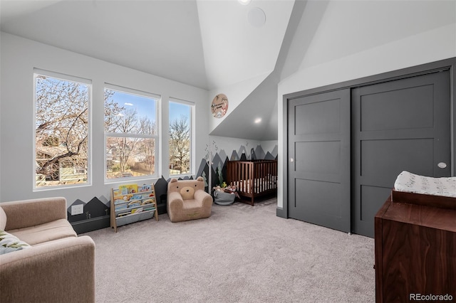 sitting room with lofted ceiling and carpet flooring