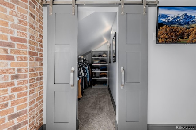 walk in closet featuring a barn door and carpet floors