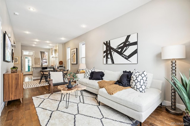 living room with dark wood-type flooring