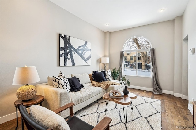 living room featuring hardwood / wood-style flooring