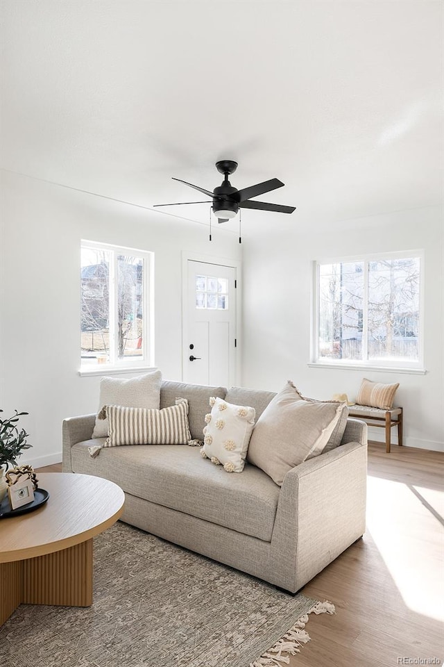 living room with baseboards, wood finished floors, a ceiling fan, and a healthy amount of sunlight