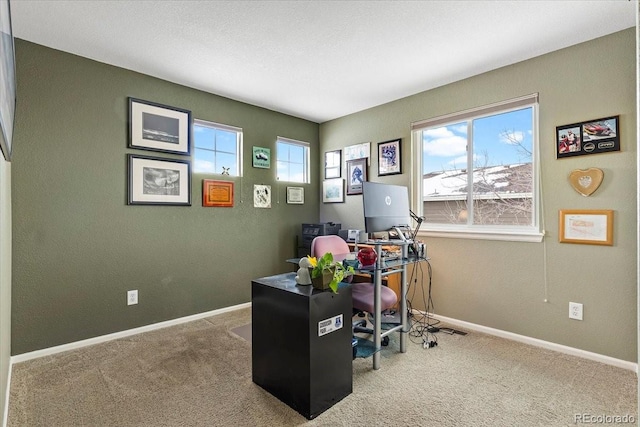 home office featuring a healthy amount of sunlight and carpet flooring