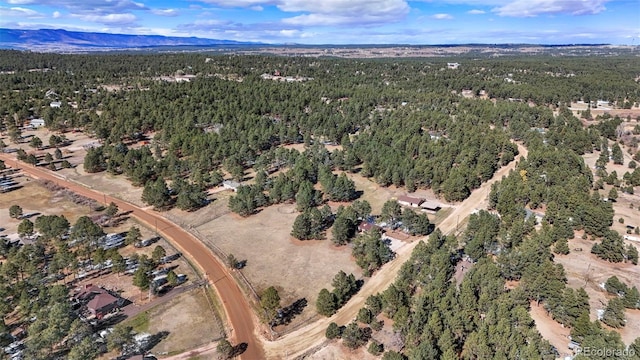 drone / aerial view with a mountain view