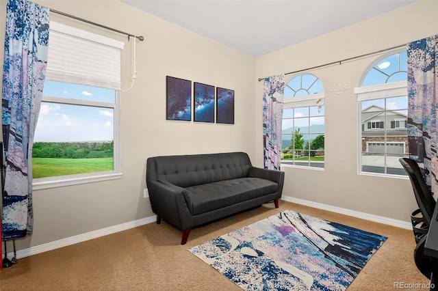 16017 Denver Pacific Dr, Monument, CO 80132 - photo 23