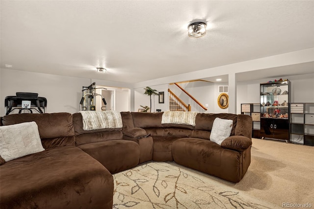 16017 Denver Pacific Dr, Monument, CO 80132 - photo 26