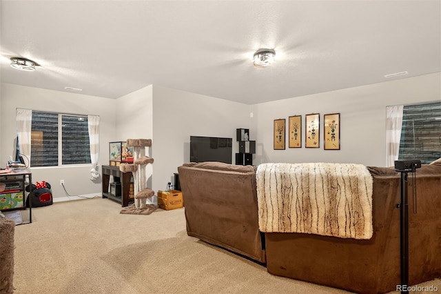 16017 Denver Pacific Dr, Monument, CO 80132 - photo 28