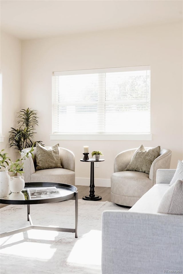 living room with hardwood / wood-style floors