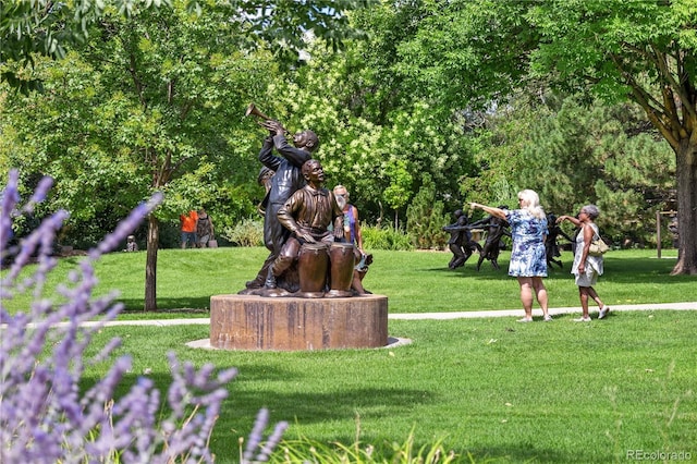 view of community featuring a yard