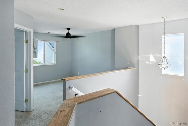 5055 Pelican St, Brighton, CO 80601 - photo 8
