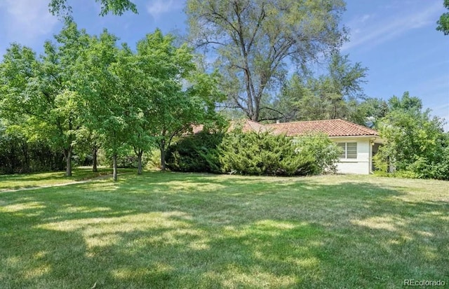 6235 E 6th Avenue Parkway, Denver, CO 80220 - view of yard