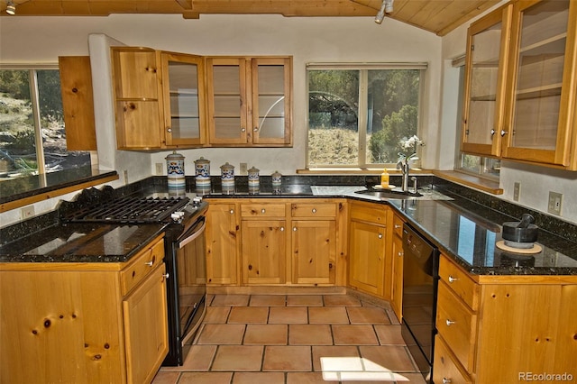 4417 Twinview Ct, Crestone, CO 81131 - kitchen featuring black appliances, a sink, healthy amount of natural light, lofted ceiling, and dark stone countertops