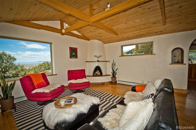 4417 Twinview Ct, Crestone, CO 81131 - living room featuring wooden ceiling, wood finished floors, and a baseboard heating unit
