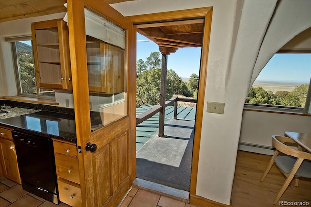4417 Twinview Ct, Crestone, CO 81131 - entryway with a baseboard heating unit and light wood finished floors