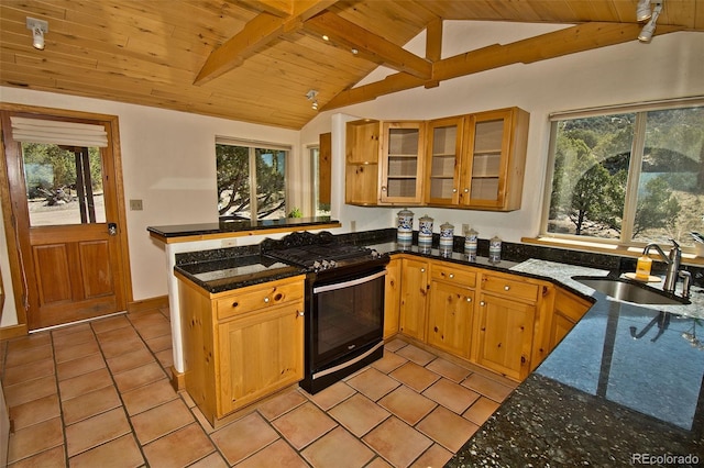 4417 Twinview Ct, Crestone, CO 81131 - kitchen featuring black range with gas stovetop, a sink, wooden ceiling, a peninsula, and dark stone countertops