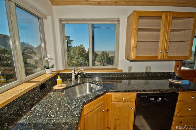4417 Twinview Ct, Crestone, CO 81131 - kitchen featuring black dishwasher, a sink, brown cabinets, and plenty of natural light