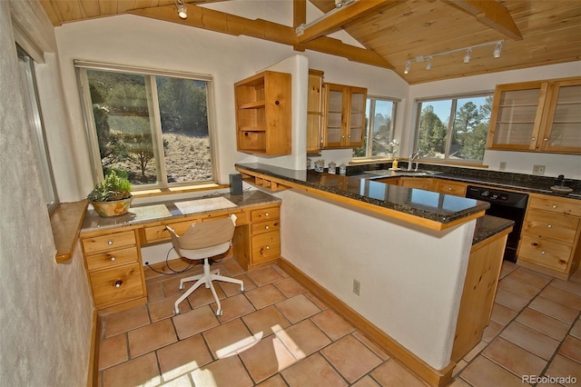 4417 Twinview Ct, Crestone, CO 81131 - kitchen featuring wooden ceiling, a peninsula, track lighting, plenty of natural light, and dishwasher