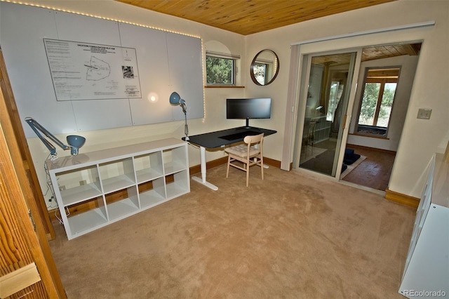 4417 Twinview Ct, Crestone, CO 81131 - office space featuring wooden ceiling, baseboards, and carpet flooring