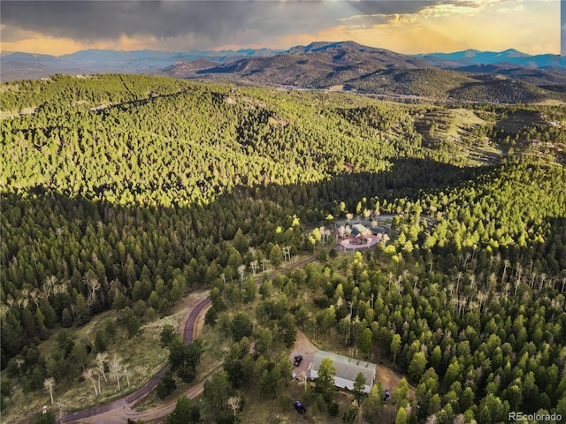 26271 Richmond Hill Rd, Conifer, CO 80433 - photo 4