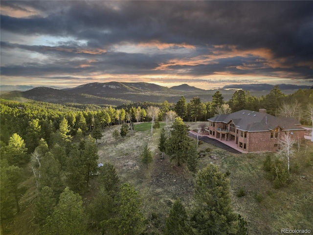 26271 Richmond Hill Rd, Conifer, CO 80433 - photo 23