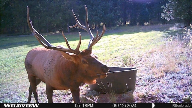 26271 Richmond Hill Rd, Conifer, CO 80433 - photo 27