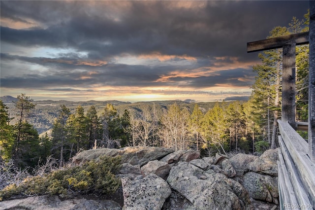 26271 Richmond Hill Rd, Conifer, CO 80433 - photo 31